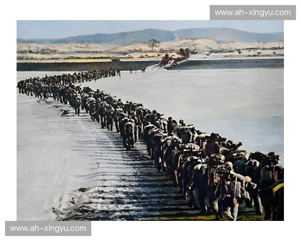 以插策应为核心的历史战术演变与实战价值研究分析与启示探讨应用前景