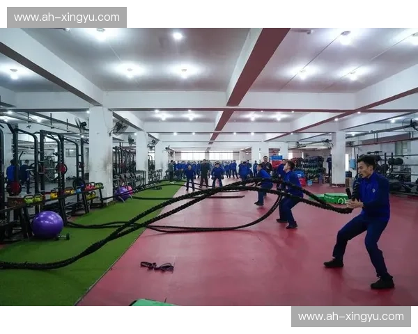 全面提升运动表现的体能训练策略与教练必备技能解析